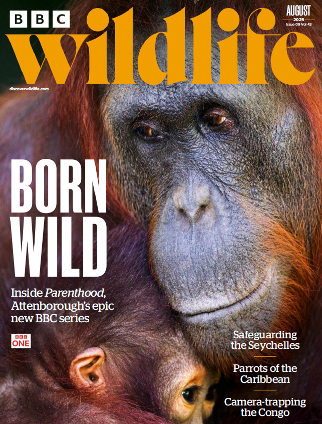 BBC Wildlife 08.2025