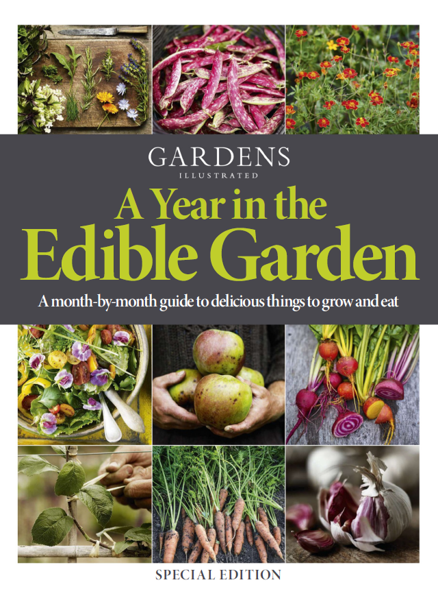 Gardens Illustrated A Year in the Edible Garden 2025