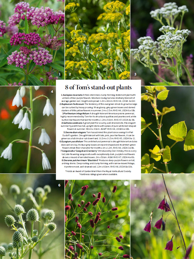 Gardens Illustrated - sample page 1